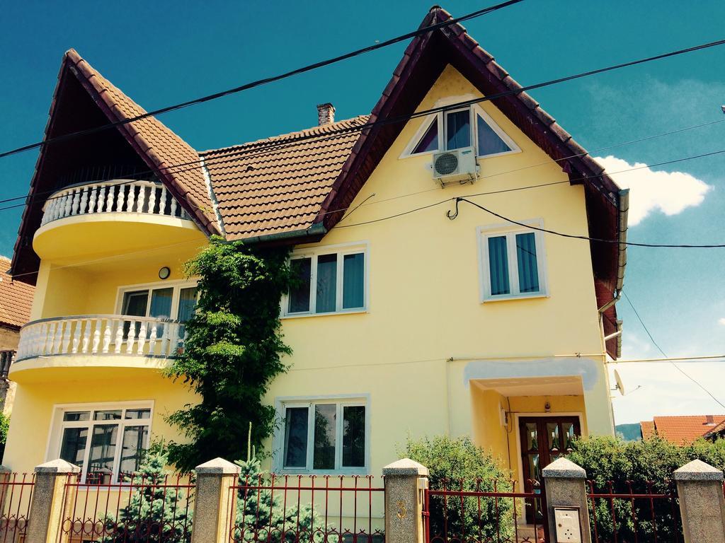 Pensiunea Vila Silva I Хацег Экстерьер фото
