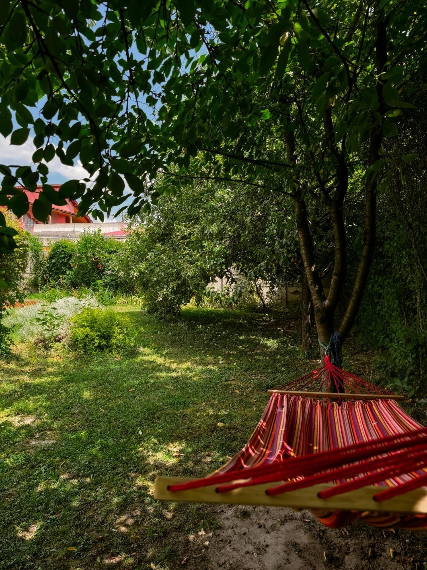 Pensiunea Vila Silva I Хацег Экстерьер фото