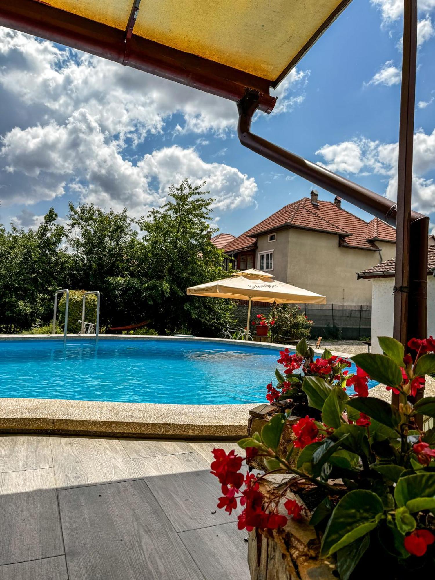 Pensiunea Vila Silva I Хацег Экстерьер фото
